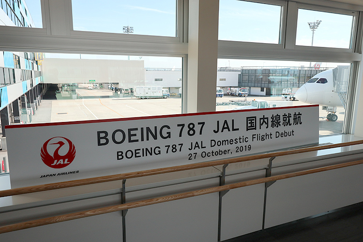 JAL787-096.jpg