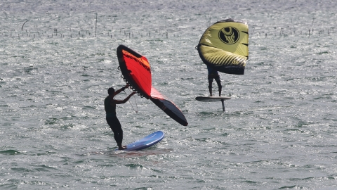 沖縄ウイング WING SURFER FOIL