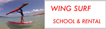 wing school