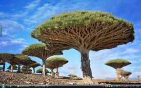1_Socotra Yemen30s