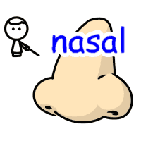 nasal の意味 英語イラスト