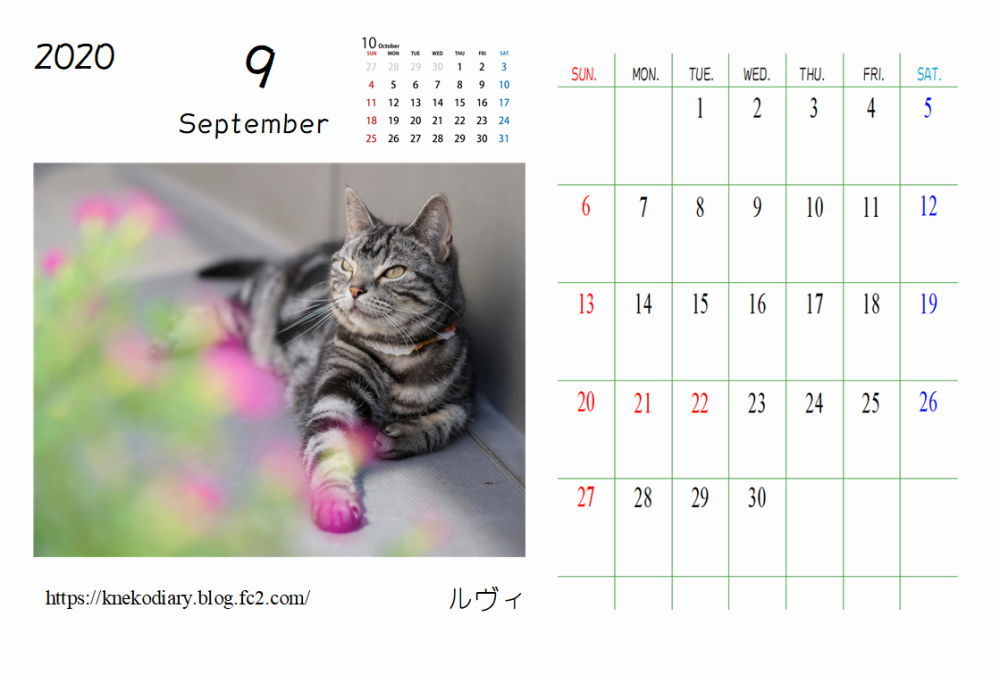 オリジナルカレンダー２０２０ 猫用迷子札 ハンドメイド