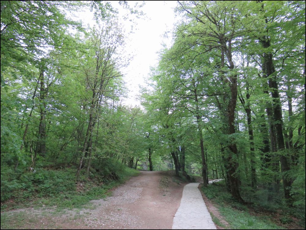 30）ホテルイエゼロ周辺の早朝お散歩＠クロアチア/プリトヴィッツェ国立公園