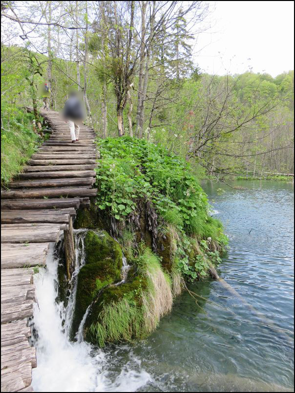 プリトヴィッツェ湖群国立公園/上湖群編＠クロアチア