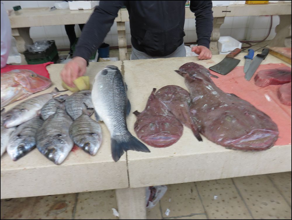 39）魚市場＆マルヤンの丘＠スプリット/クロアチア
