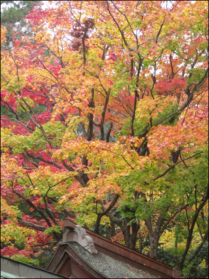 1.室生寺の紅葉＠京都と奈良の紅葉旅はじめます