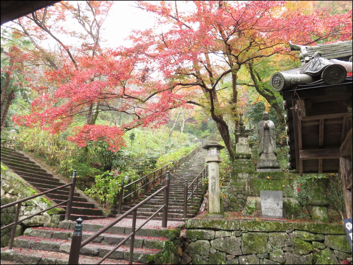 2．長谷寺の紅葉＠京都と奈良の紅葉旅