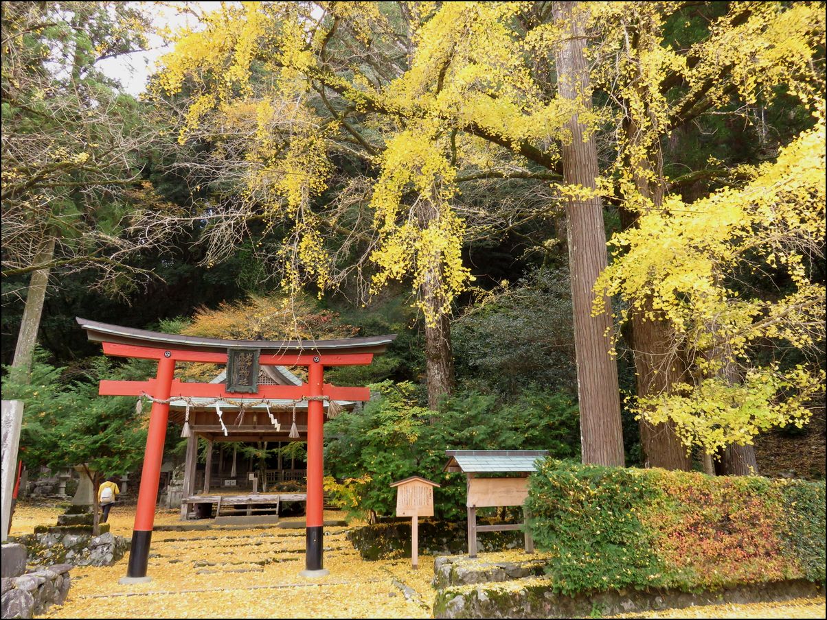 8.岩戸落葉神社の黄葉＠京都と奈良の紅葉旅