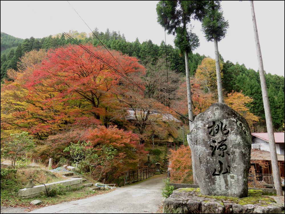 10.桃源山地蔵院の紅葉＠京都と奈良の紅葉旅