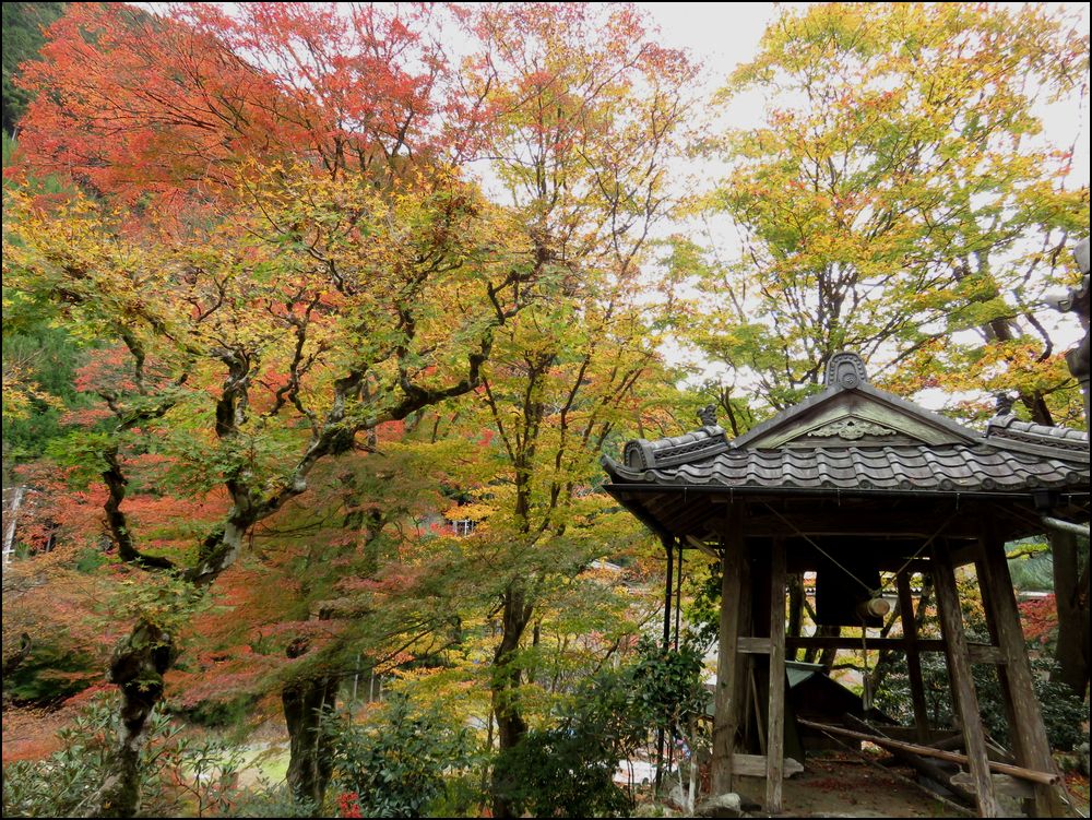 10.桃源山地蔵院の紅葉＠京都と奈良の紅葉旅