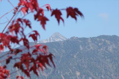 福地山191102-112127_blog