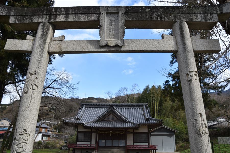 熊野神社梅４