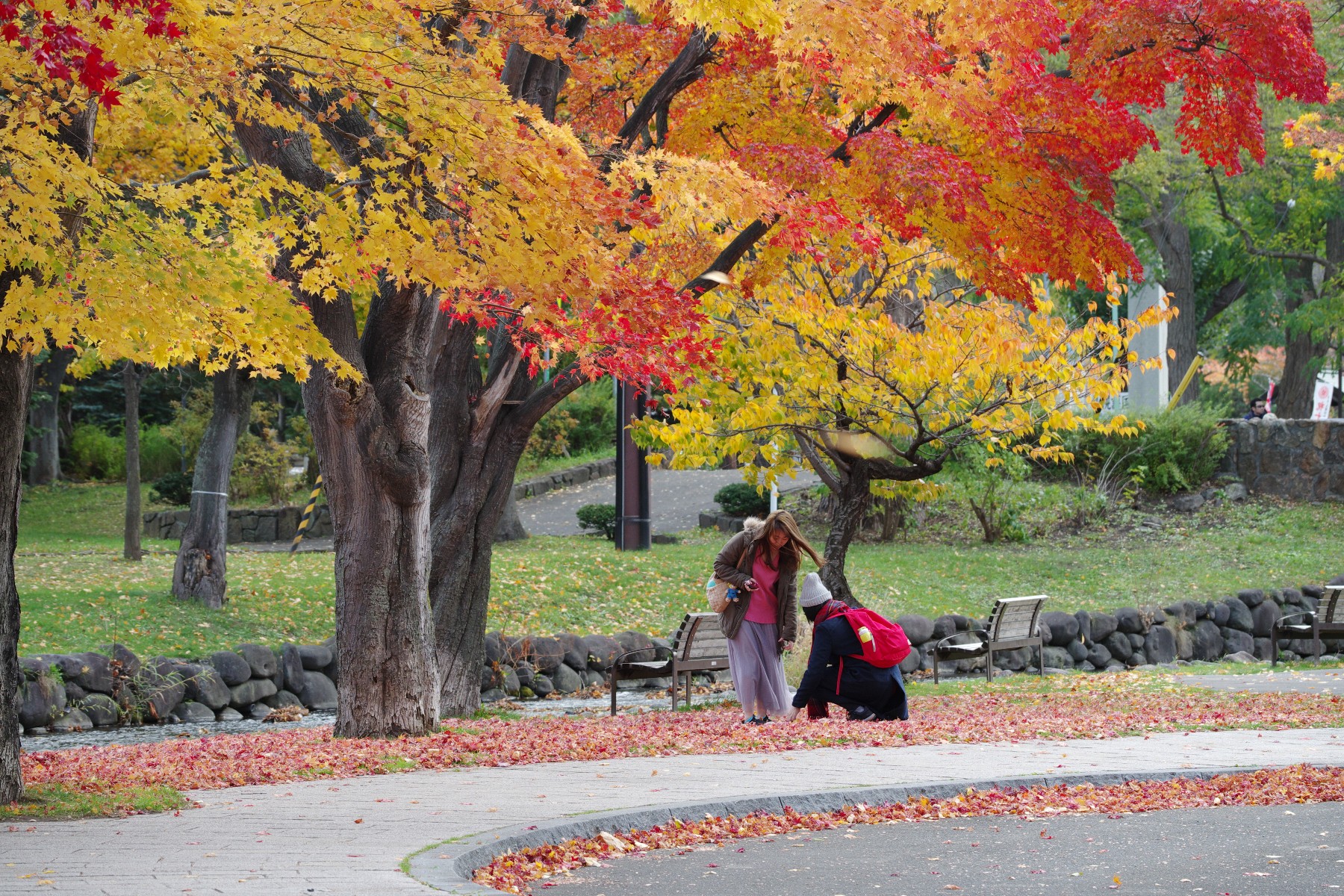 秋の寸景（中島公園・札幌市中央区）－２－