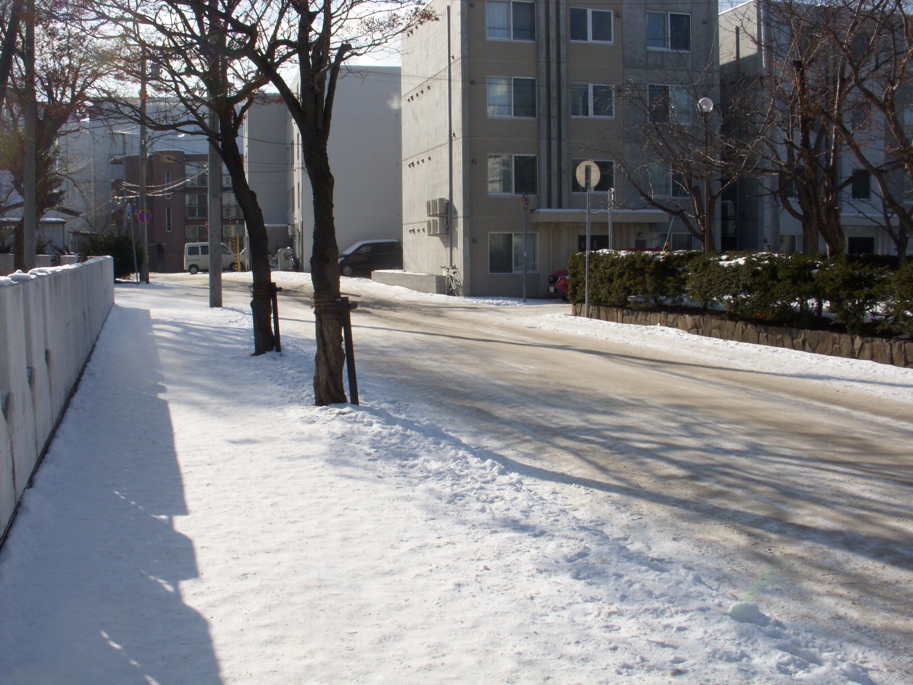 冬の散歩（札幌市豊平区）－３－