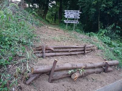 里山整備 理想の森プロジェクト
