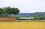 稲架木と電車-02