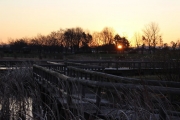 上堰潟公園-6朝陽
